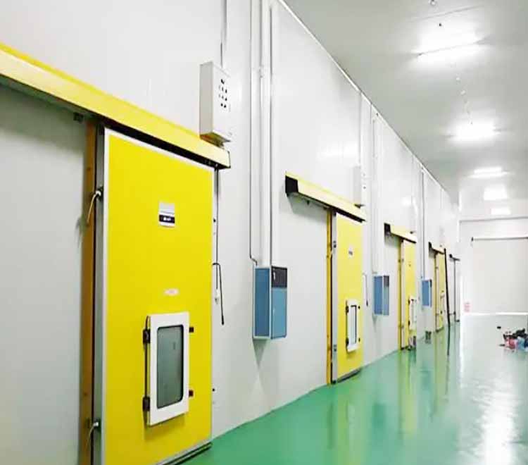 Vegetable cold storage